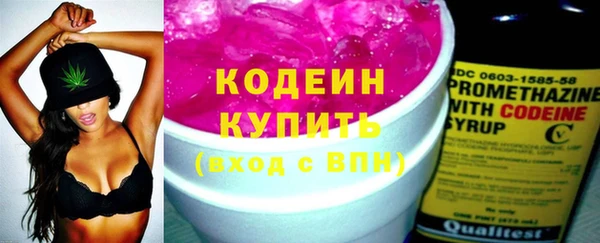 прущие грибы Алзамай