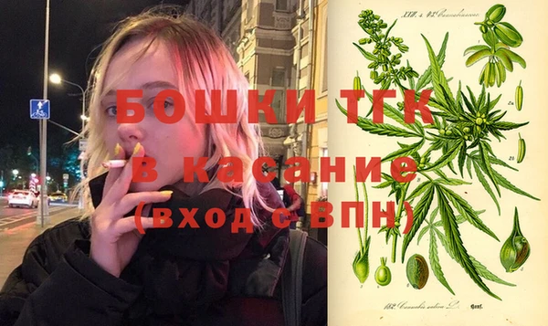 прущие грибы Алзамай