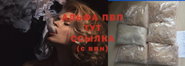 прущие грибы Алзамай