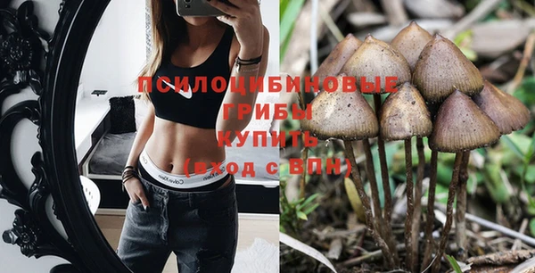 твердый Алексеевка