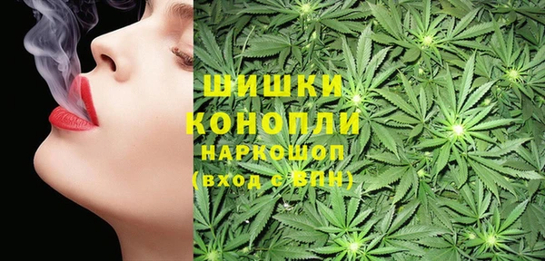 прущие грибы Алзамай