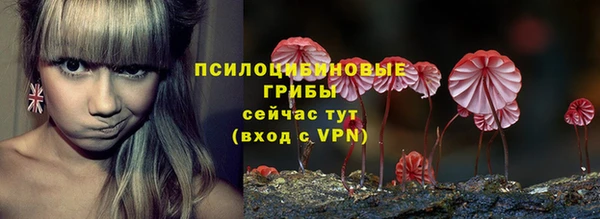 прущие грибы Алзамай