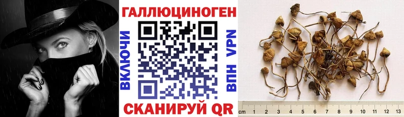 Галлюциногенные грибы Psilocybine cubensis  Учалы 